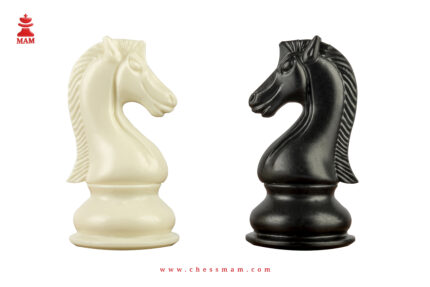 The Candidates Series